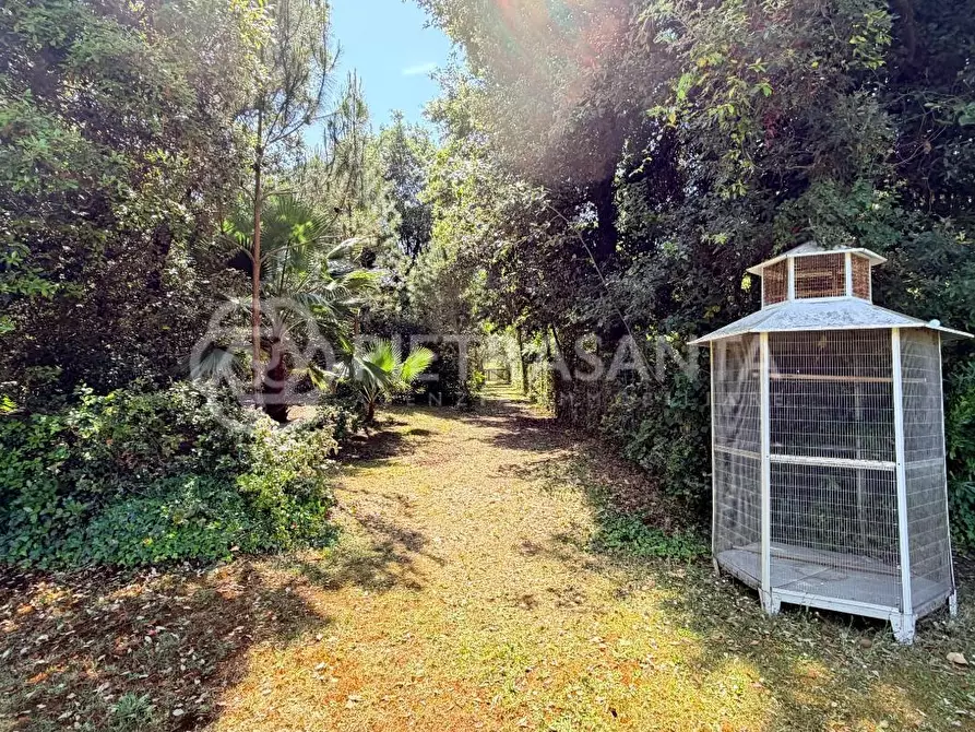 Immagine 11 di Villa in affitto  a Pietrasanta