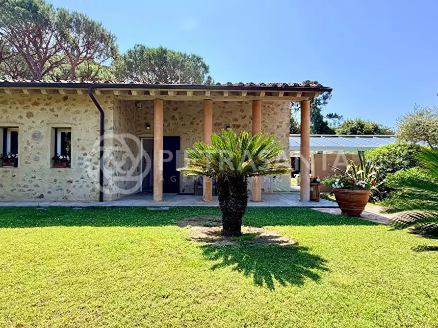 Immagine 5 di Villa in affitto  a Pietrasanta