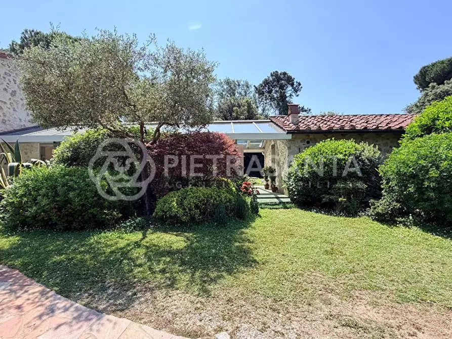 Immagine 10 di Villa in affitto  a Pietrasanta