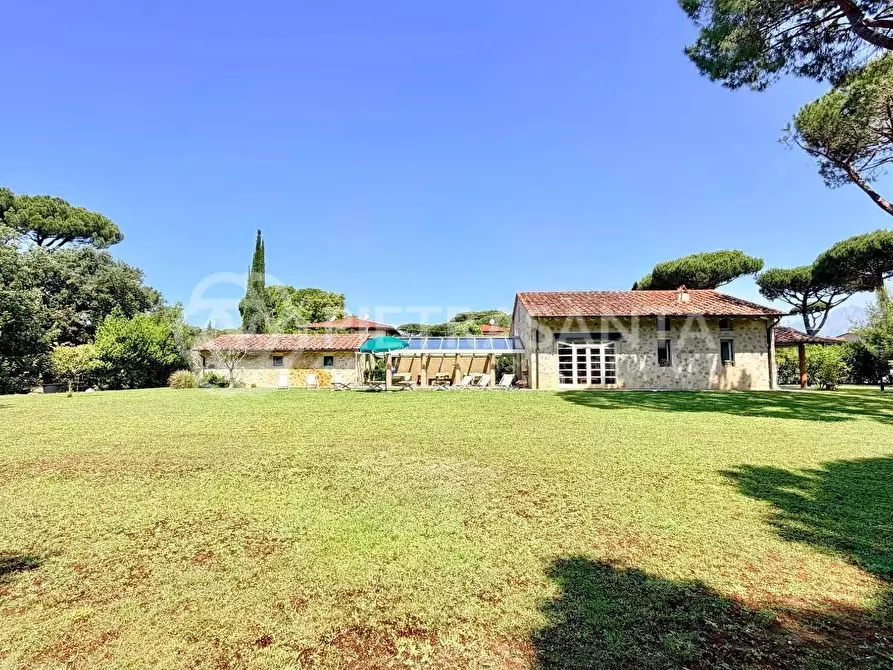 Immagine 13 di Villa in affitto  a Pietrasanta