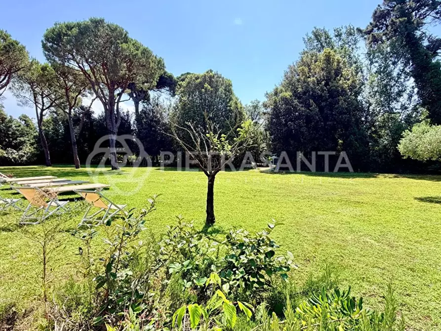 Immagine 4 di Villa in affitto  a Pietrasanta