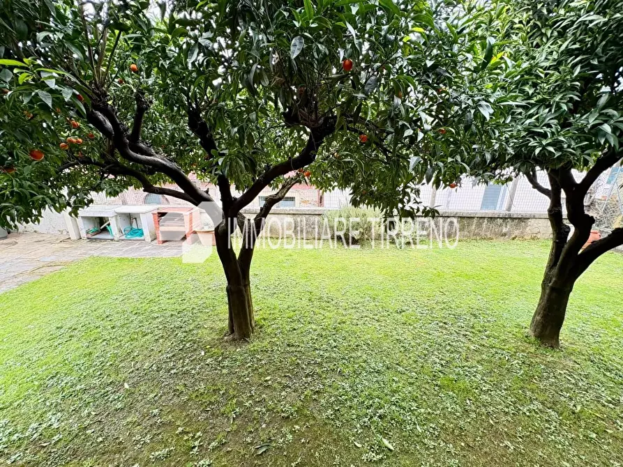 Immagine 27 di Villa in vendita  a Massa