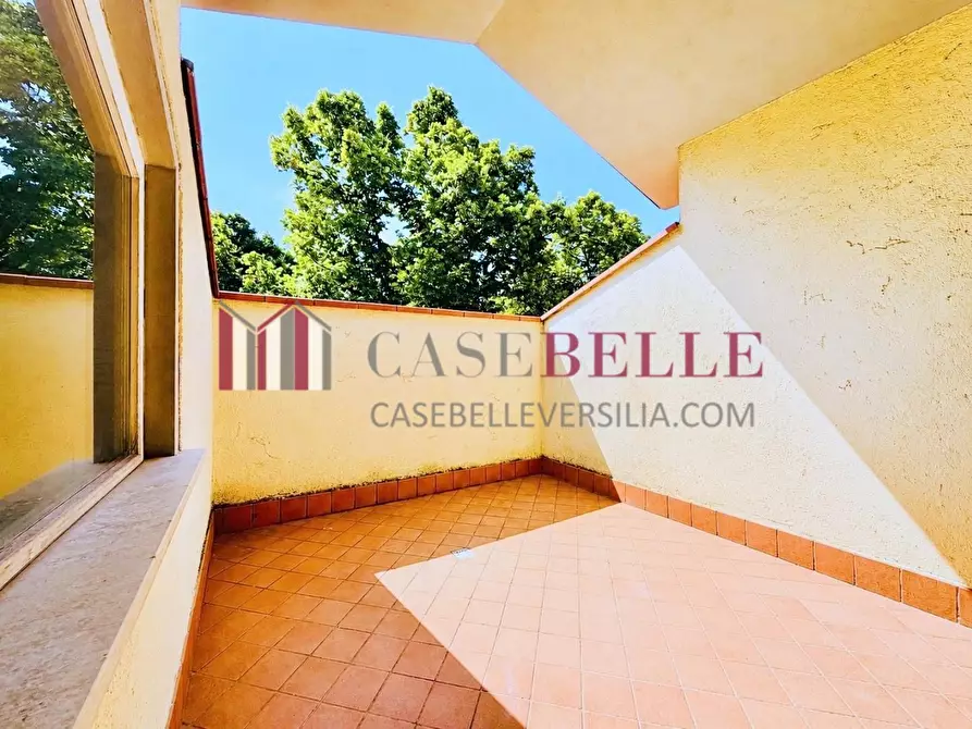 Immagine 41 di Casa indipendente in vendita  a Camaiore