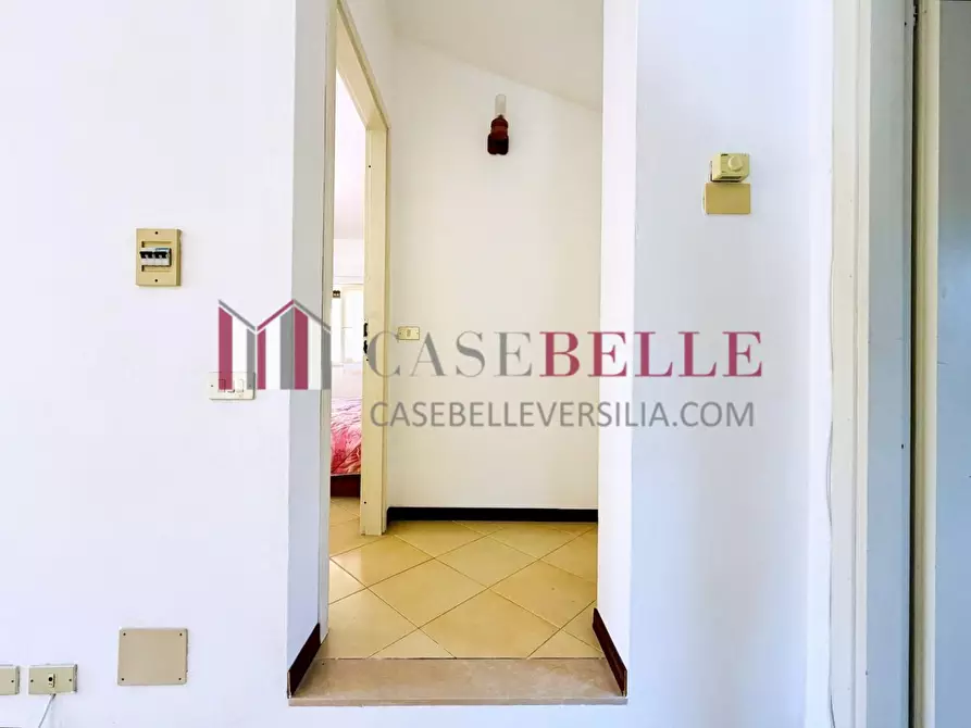 Immagine 32 di Casa indipendente in vendita  a Camaiore