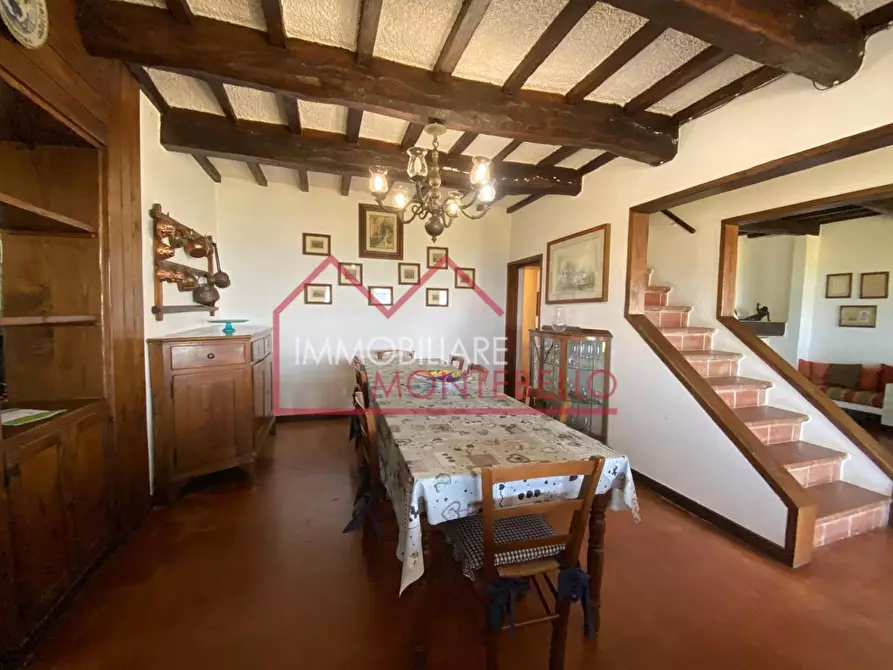Immagine 11 di Villa in vendita  a Camaiore