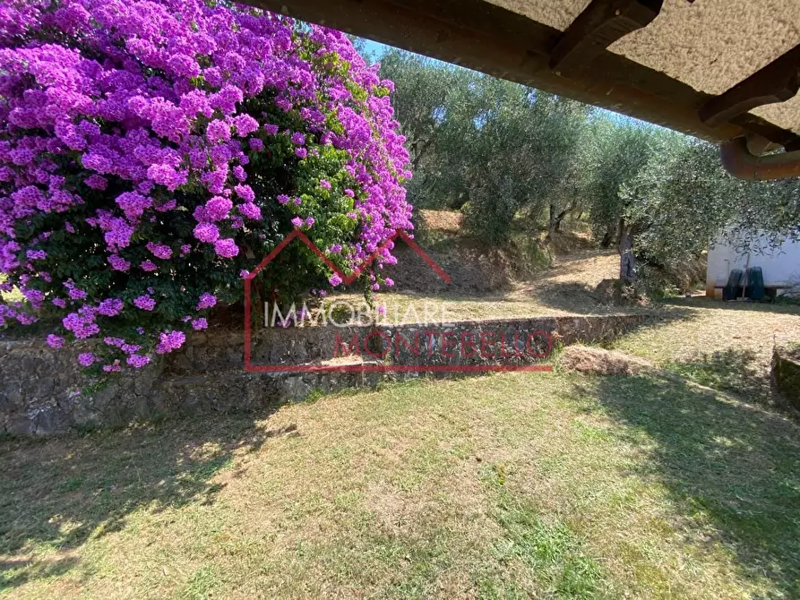 Immagine 44 di Villa in vendita  a Camaiore