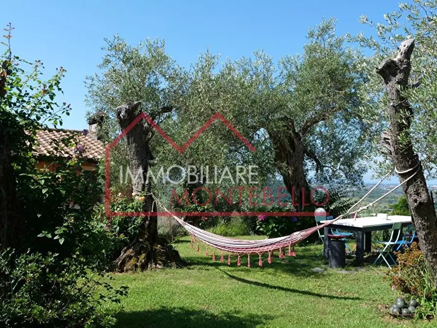 Immagine 8 di Casa colonica in vendita  a Massarosa