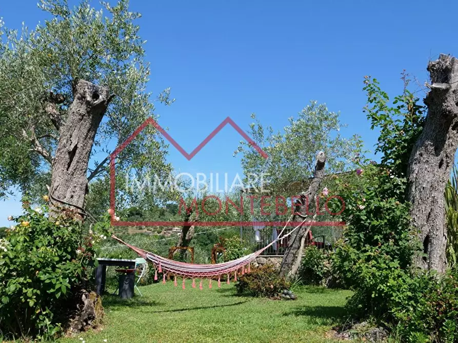 Immagine 7 di Casa colonica in vendita  a Massarosa