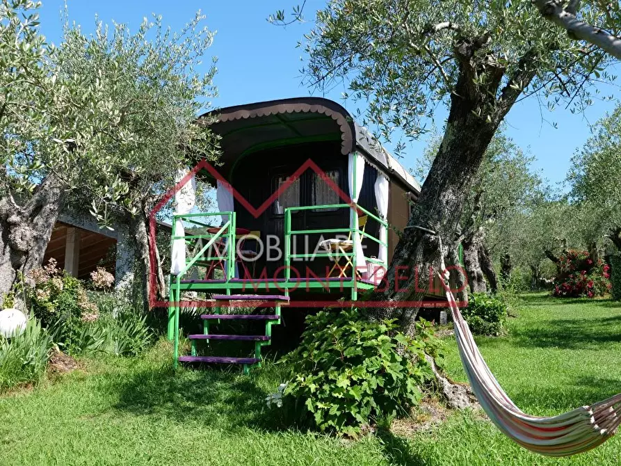 Immagine 14 di Casa colonica in vendita  a Massarosa
