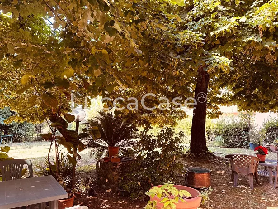 Immagine 19 di Villa in vendita  a Lucca