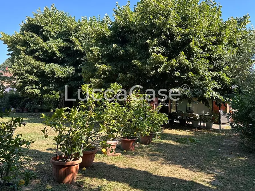 Immagine 61 di Villa in vendita  a Lucca