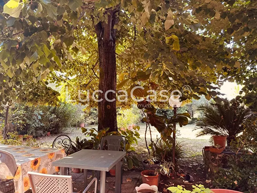 Immagine 27 di Villa in vendita  a Lucca