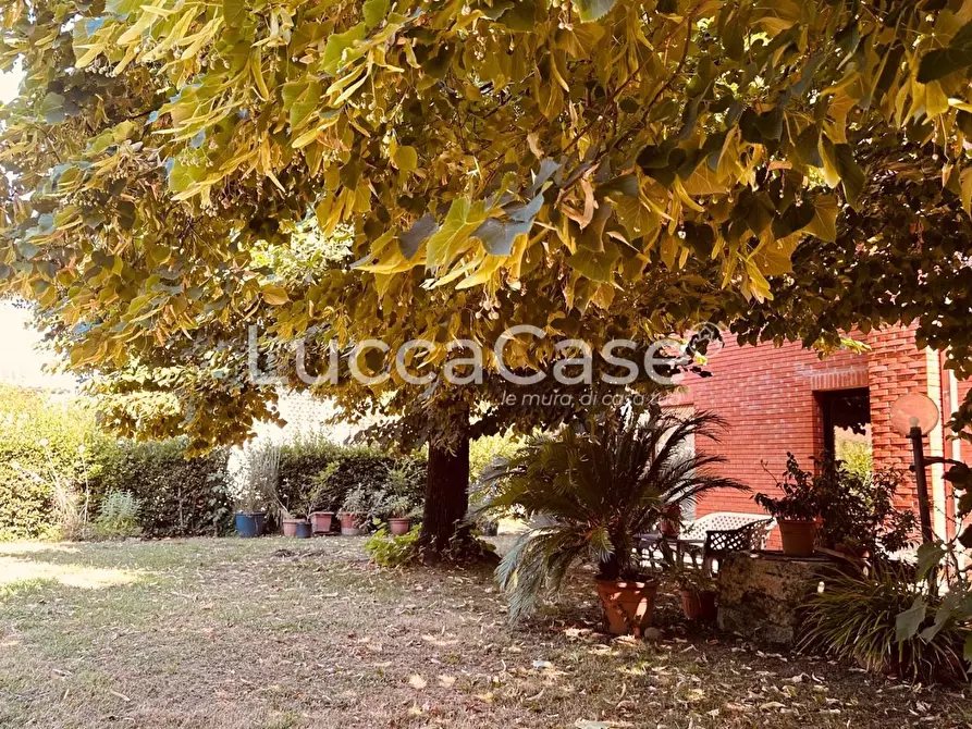 Immagine 59 di Villa in vendita  a Lucca
