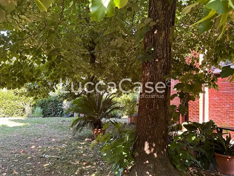 Immagine 63 di Villa in vendita  a Lucca