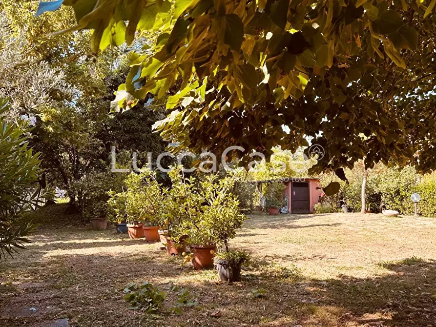 Immagine 58 di Villa in vendita  a Lucca
