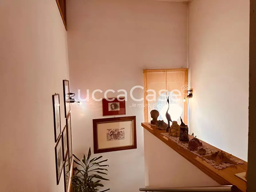 Immagine 35 di Villa in vendita  a Lucca