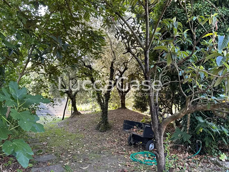 Immagine 60 di Villa in vendita  a Lucca