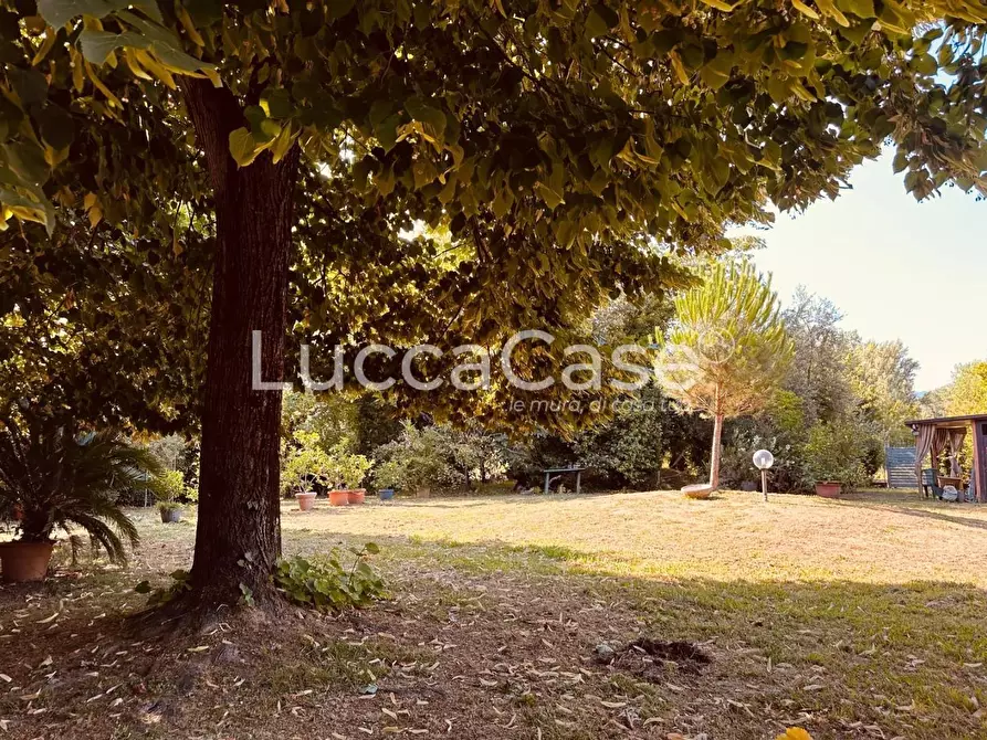 Immagine 28 di Villa in vendita  a Lucca