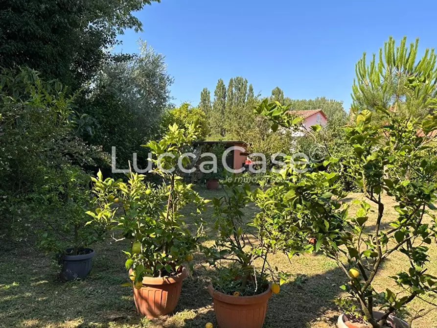 Immagine 62 di Villa in vendita  a Lucca