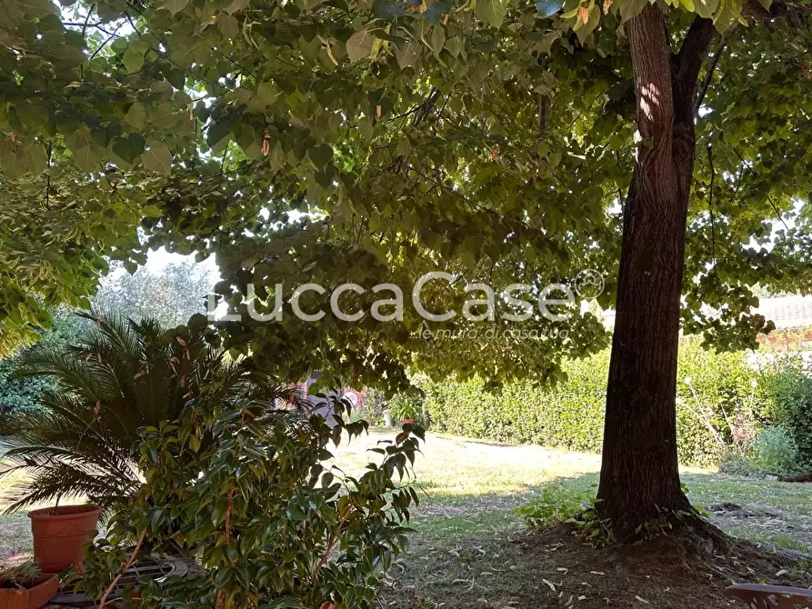Immagine 65 di Villa in vendita  a Lucca