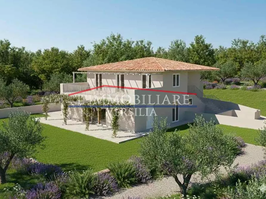 Immagine 3 di Appartamento in vendita  a Massa