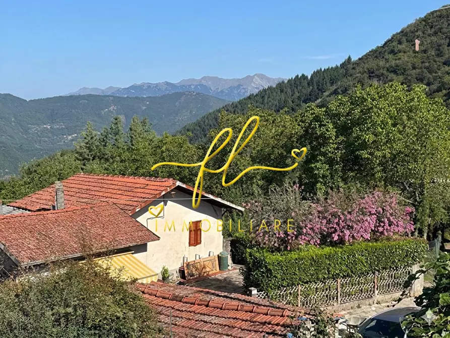 Immagine 19 di Appartamento in vendita  a Fivizzano