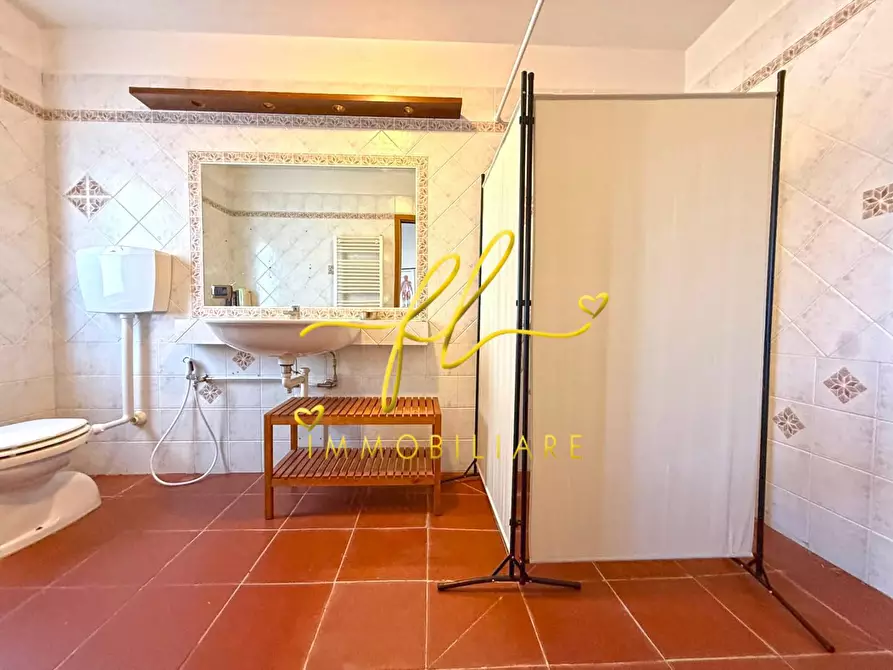 Immagine 13 di Appartamento in vendita  a Castagneto Carducci