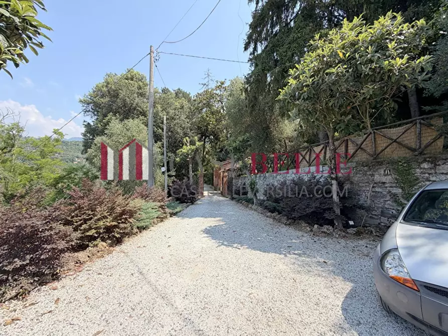 Immagine 65 di Immobile di prestigio in vendita  a Camaiore