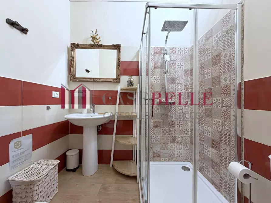 Immagine 53 di Immobile di prestigio in vendita  a Camaiore