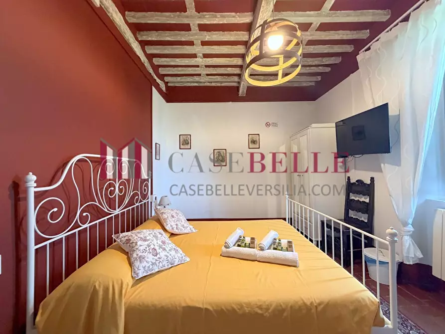 Immagine 56 di Immobile di prestigio in vendita  a Camaiore