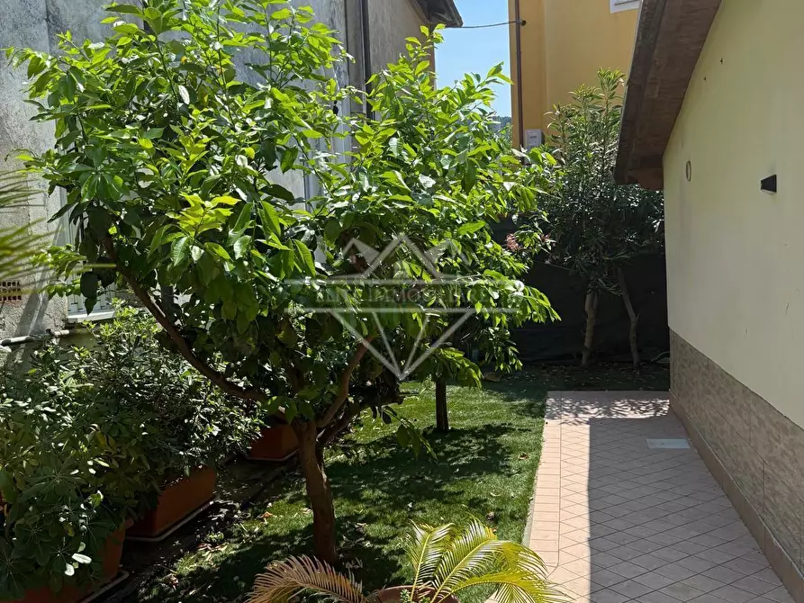 Immagine 12 di Porzione di casa in vendita  a Ameglia