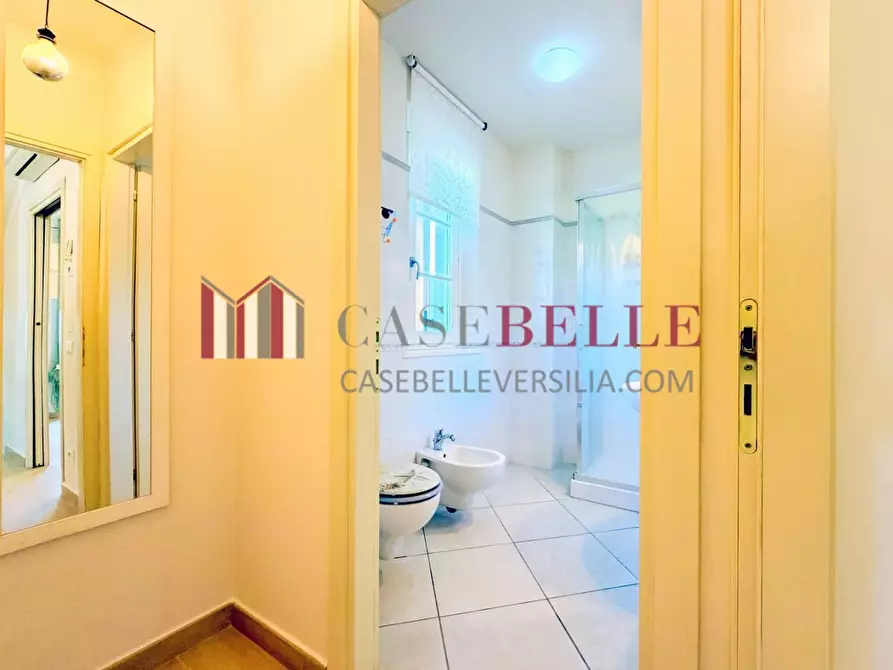 Immagine 14 di Casa bifamiliare in vendita  a Camaiore