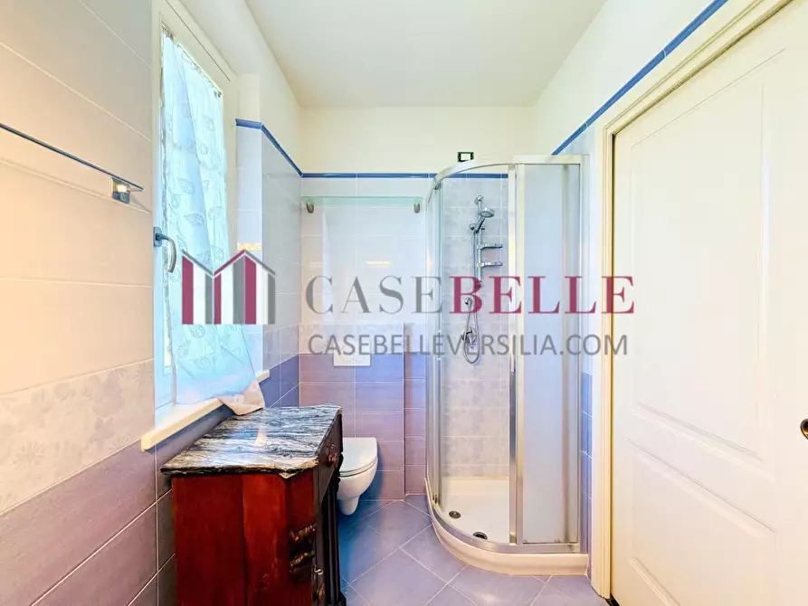 Immagine 46 di Casa bifamiliare in vendita  a Camaiore