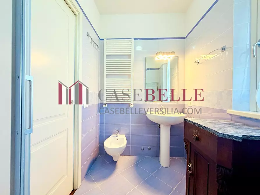 Immagine 47 di Casa bifamiliare in vendita  a Camaiore