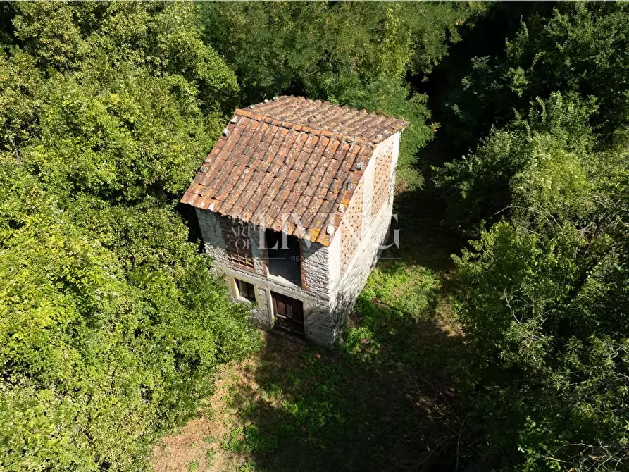 Immagine 51 di Villa in vendita  a Lucca