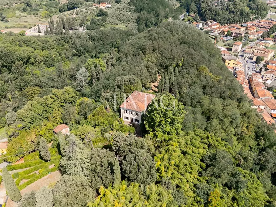 Immagine 48 di Villa in vendita  a Lucca