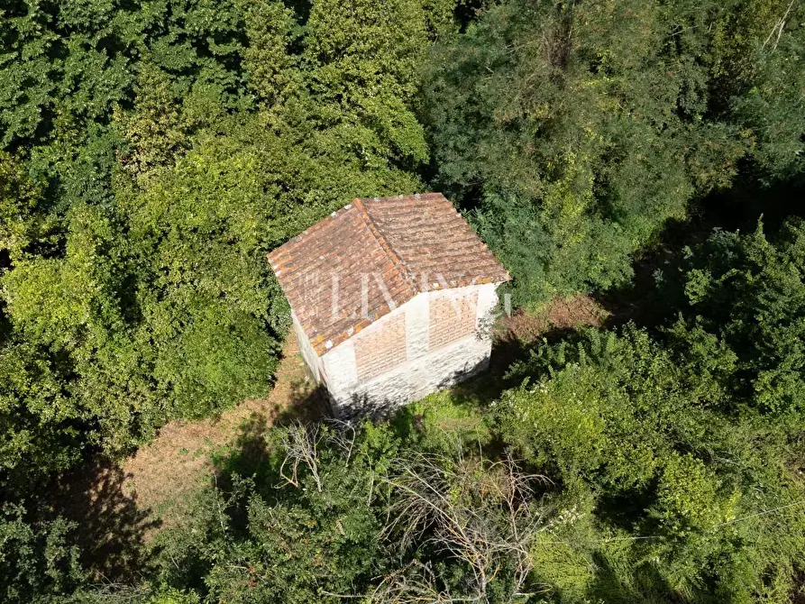 Immagine 50 di Villa in vendita  a Lucca