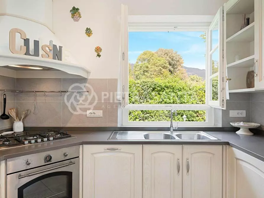 Immagine 11 di Villa in affitto  a Pietrasanta