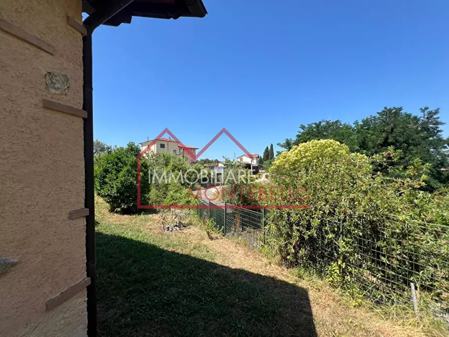 Immagine 4 di Rustico / casale in vendita  a Camaiore