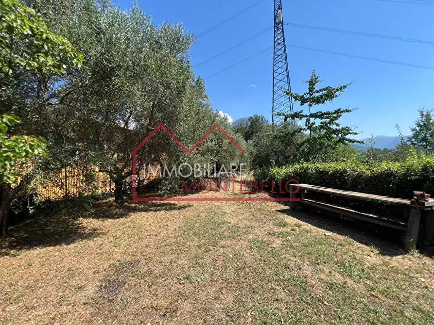 Immagine 16 di Rustico / casale in vendita  a Camaiore