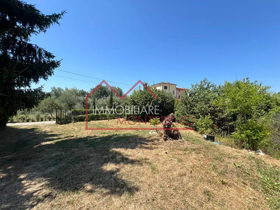 Immagine 5 di Rustico / casale in vendita  a Camaiore