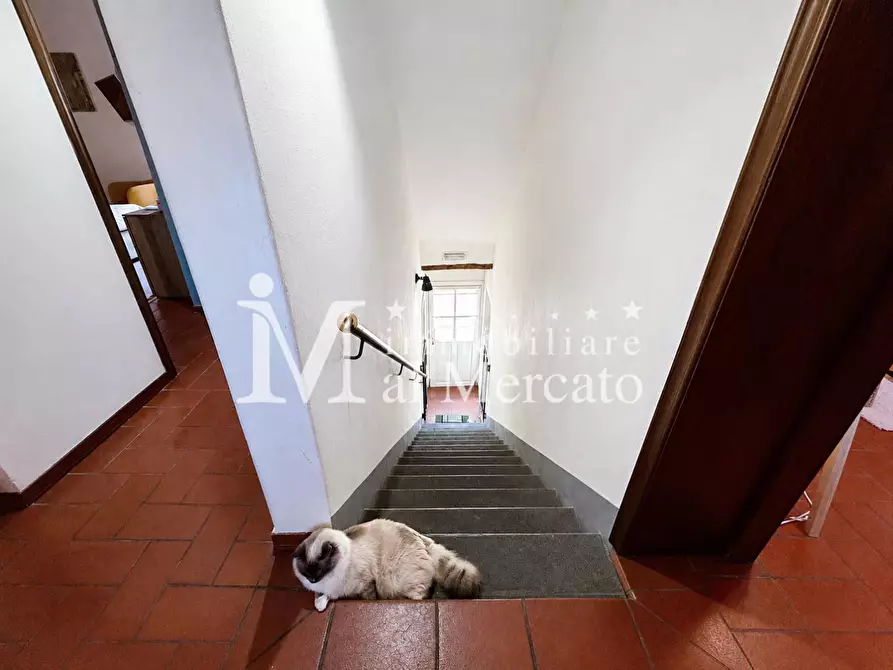 Immagine 29 di Appartamento in vendita  a Lucca