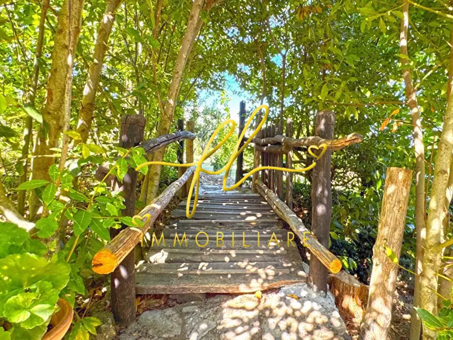 Immagine 24 di Villa in vendita  a Monteverdi Marittimo