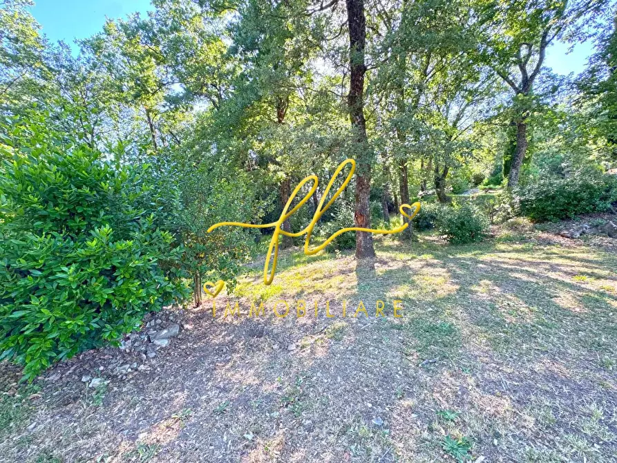 Immagine 40 di Villa in vendita  a Monteverdi Marittimo