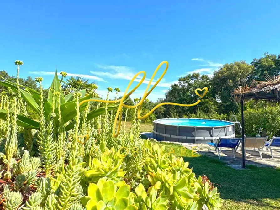 Immagine 37 di Villa in vendita  a Monteverdi Marittimo