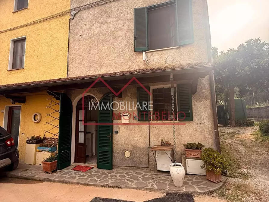 Immagine 3 di Terratetto in vendita  a Camaiore