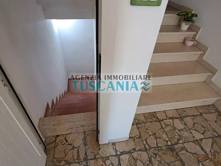 Immagine 18 di Appartamento in vendita  a Cecina