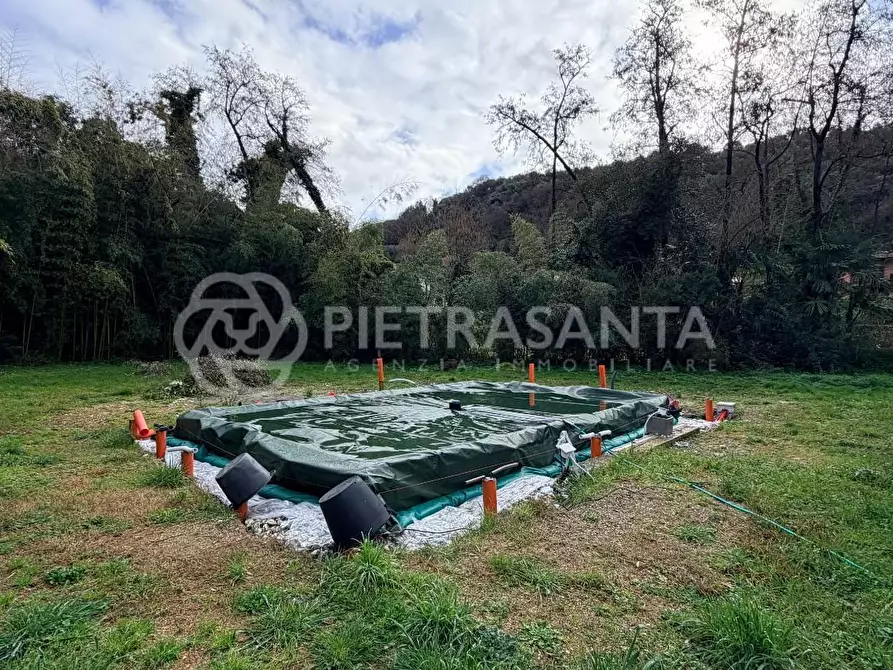 Immagine 3 di Villa in affitto  a Pietrasanta
