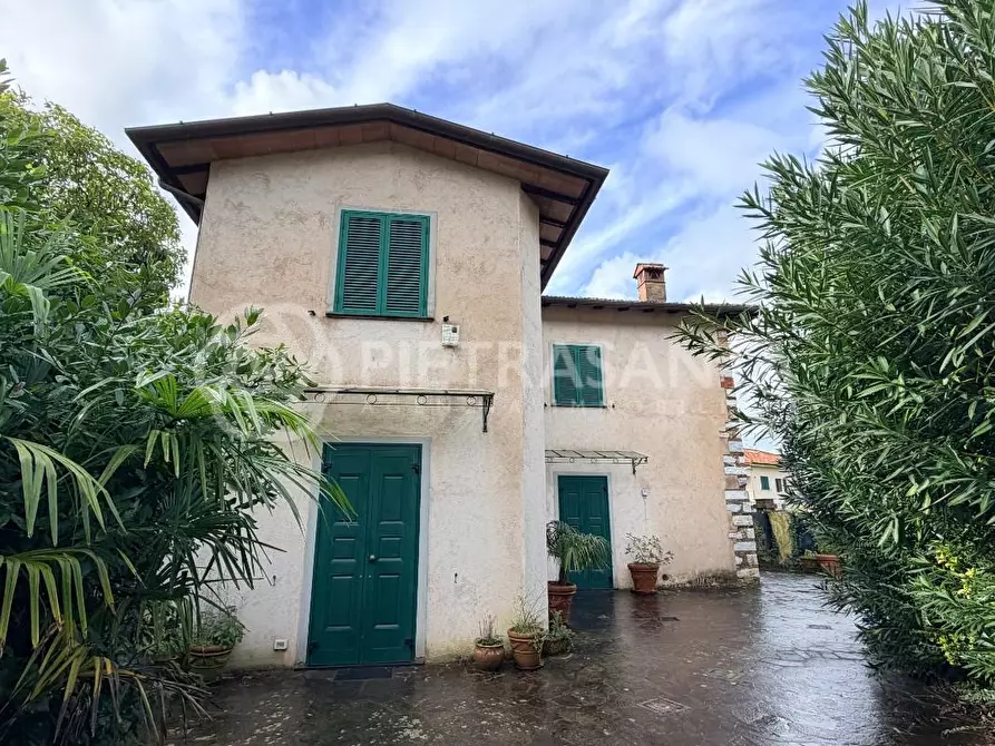 Immagine 5 di Villa in affitto  a Pietrasanta