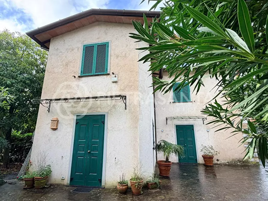 Immagine 6 di Villa in affitto  a Pietrasanta